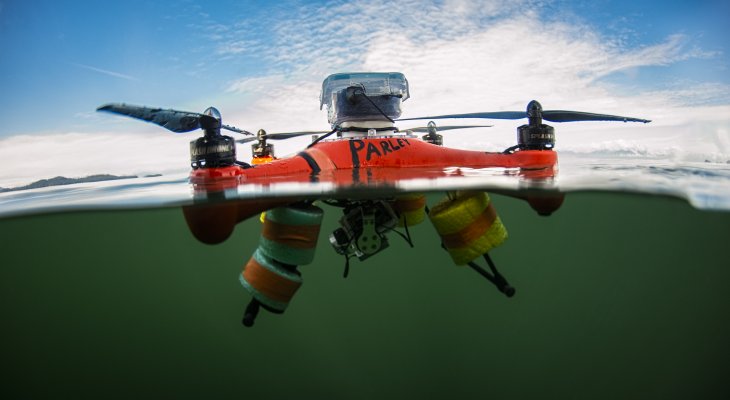 A vízálló drónok nagy segítséget jelenthetnek a tengeri állatok vizsgálatában!
