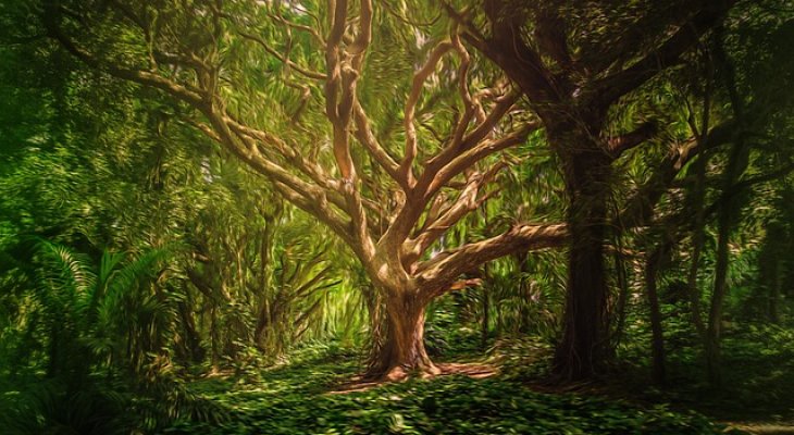 Hihetetlen dolgok ezek