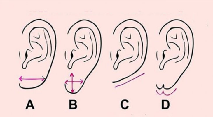 Fül forma személyiség