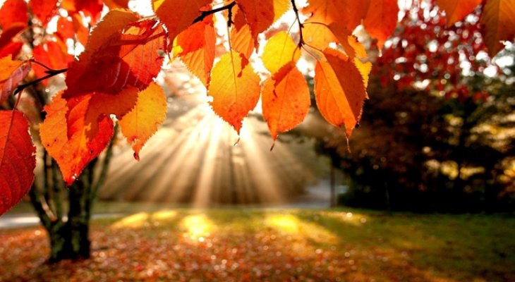 Őszi időjárás előrejelzés
