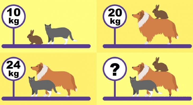 Könnyű matematikai feladat, sokan mégse tudják megfejteni! Matematikai feladat, nem sokan tudják megfejteni