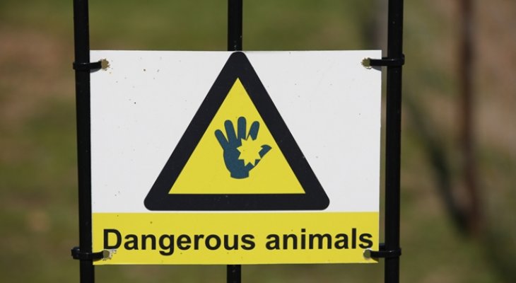 A világon élő legveszélyesebb állatfajok