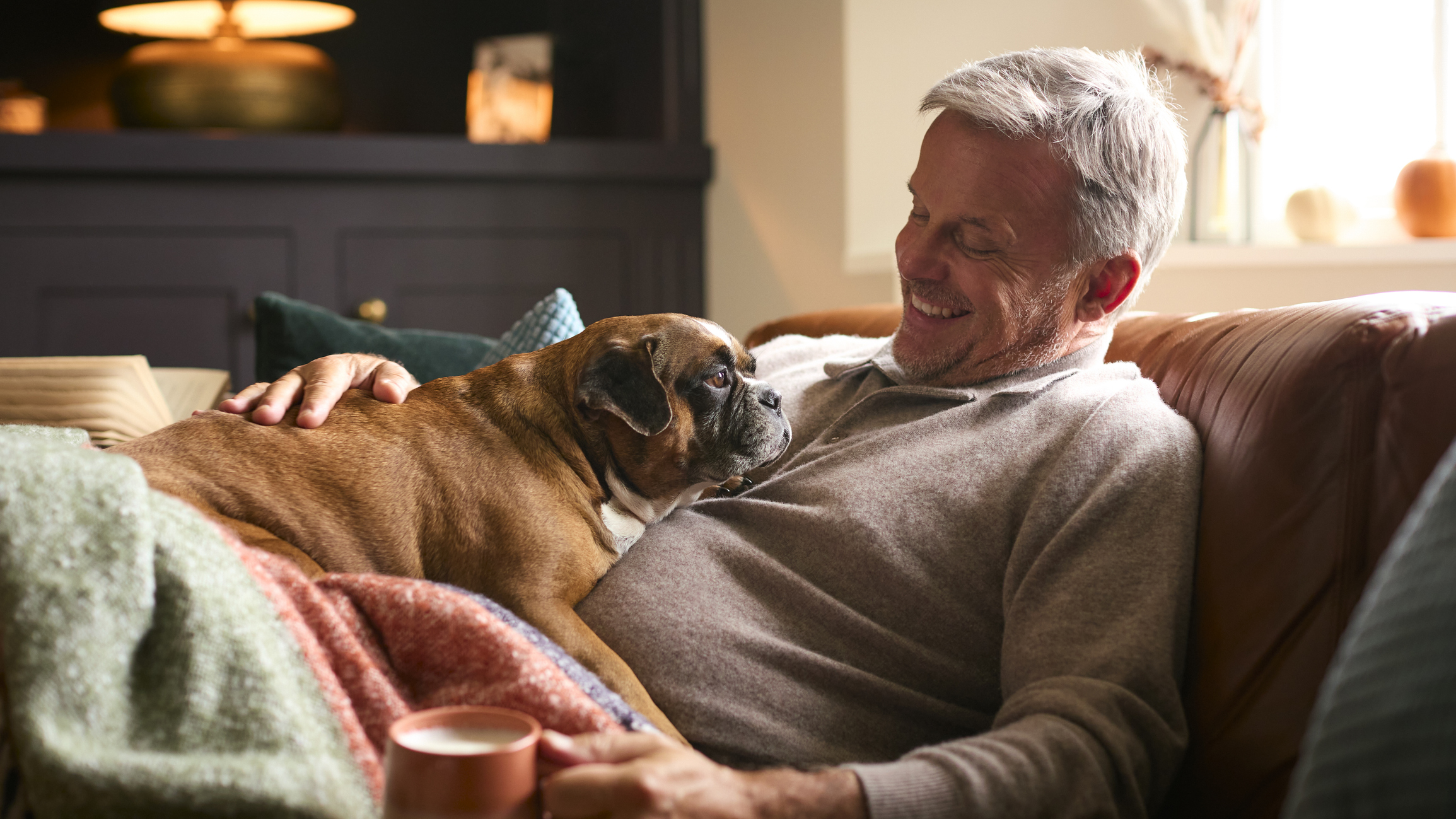 Kutyabolond vagy? – Ezeket ajánljuk egy kutyás otthonba Kutyabolond vagy? – Ezeket ajánljuk egy kutyás otthonba